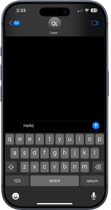 iPhone showing the Social Renovations AI chatbot answering a customer message